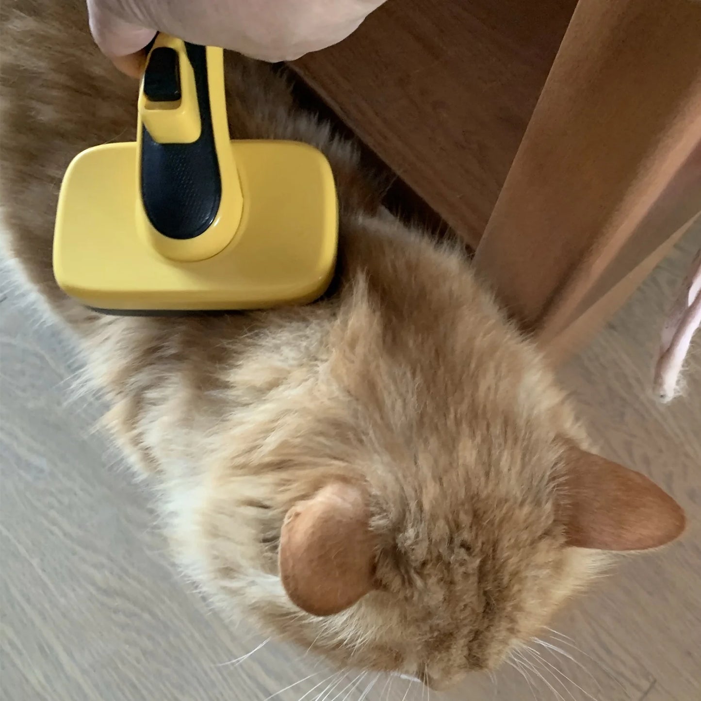 Self-Cleaning Slicker Brush for Dogs & Cats - Professional Grooming Tool for Shedding, Mats & Tangles | Painless Detangling & Undercoat Removal