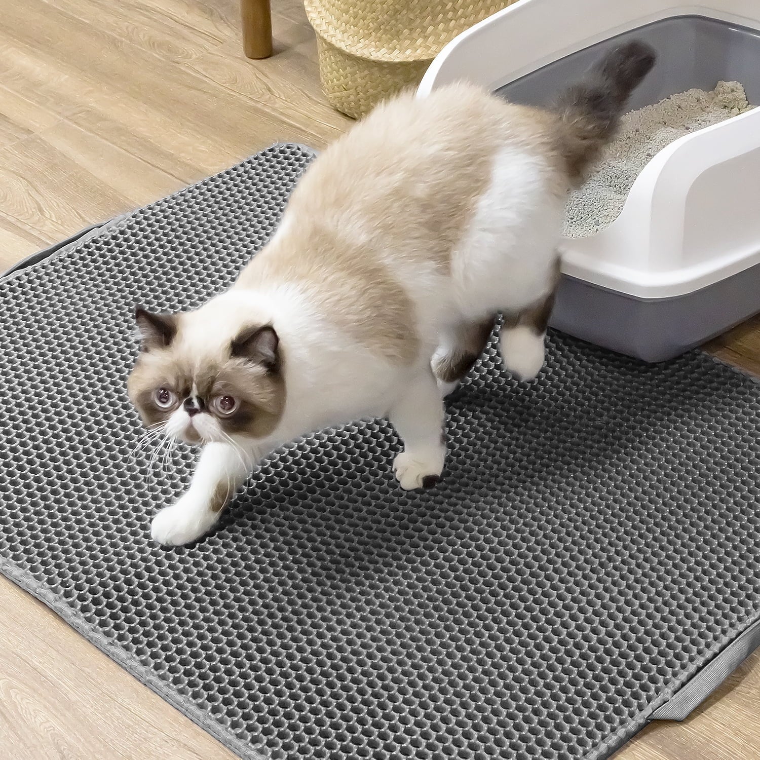 Double-Layer Cat Litter Mat with Honeycomb Design - 30x24 Inch Waterproof Tray, Traps Litter & Prevents Mess, Easy Clean