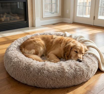 PawandPets© - World #1 Anxiety Relief Dog Bed