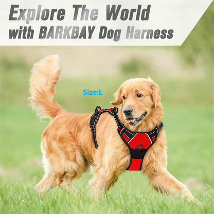 PawandPets© No Pull Dog Harness