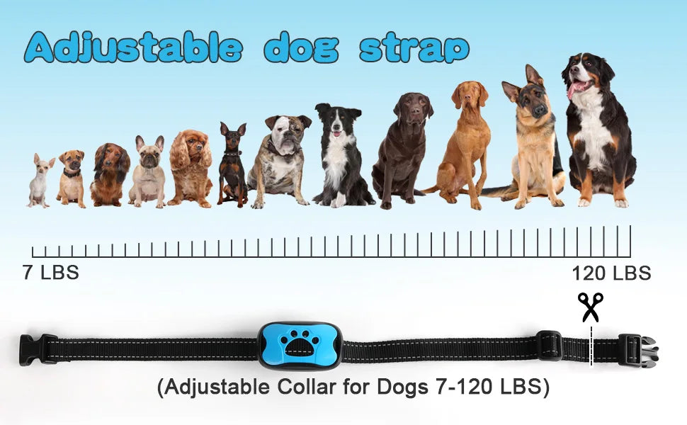 PawandPets© No Shock Anti Barking Collar