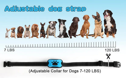 PawandPets© No Shock Anti Barking Collar