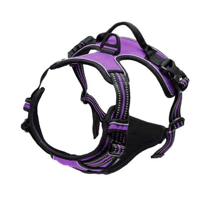 PawandPets© No Pull Dog Harness