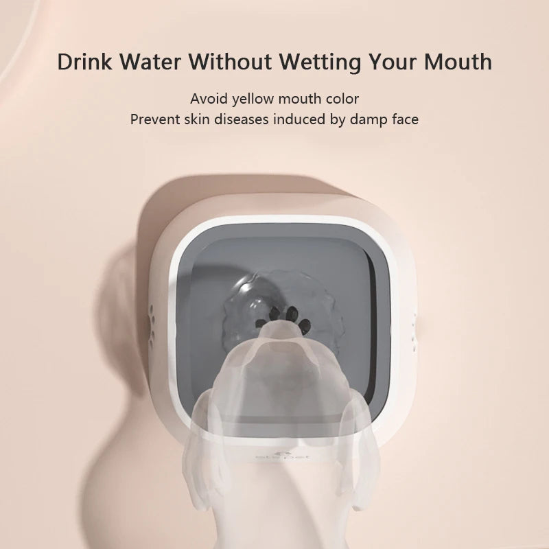 PawandPets© Pet Water Fountain with Floating Plates| No Spill Dog Water Bowl