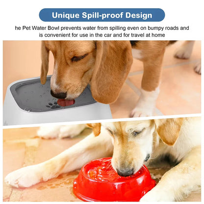 PawandPets© Pet Water Fountain with Floating Plates| No Spill Dog Water Bowl