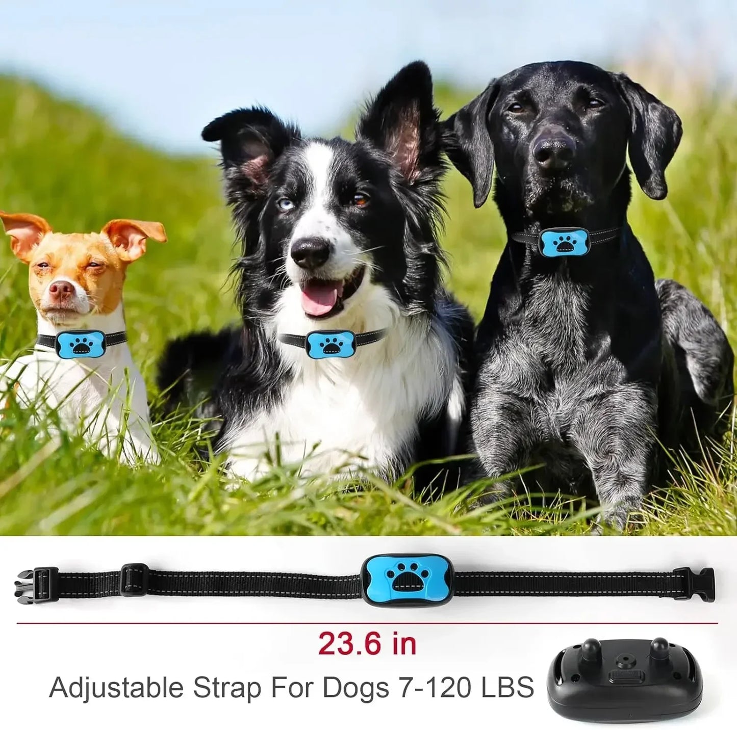 PawandPets© No Shock Anti Barking Collar