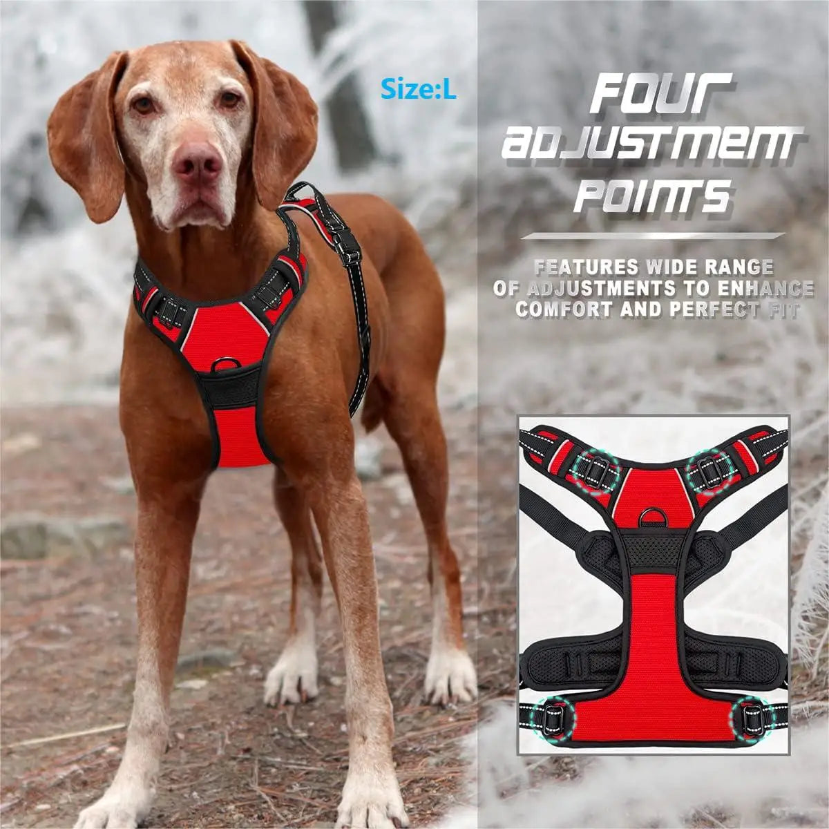 PawandPets© No Pull Dog Harness